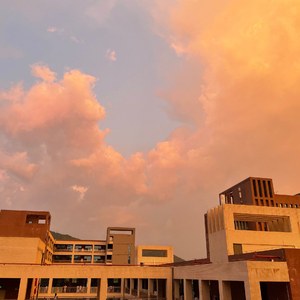 肏大屄的黄色大片
